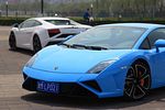 Lamborghini Gallardo