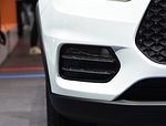 BYD S2