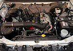 Chana F50