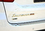 Foton Sauvana