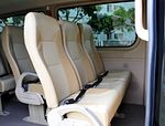 Golden Dragon MPV D11
