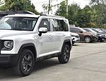 Haval Raptor