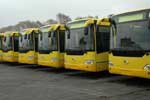 Shen Long SLK6101