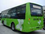 Shen Long SLK6851: Фото 1