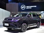 Weltmeister EX6: Фото 1