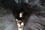 США 2018